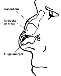 Nasenkorrektur - Behandlungsmethoden